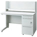 PLUS（プラス）オフィス家具 UJ机上棚 W1200 UJ-S124KT W4　