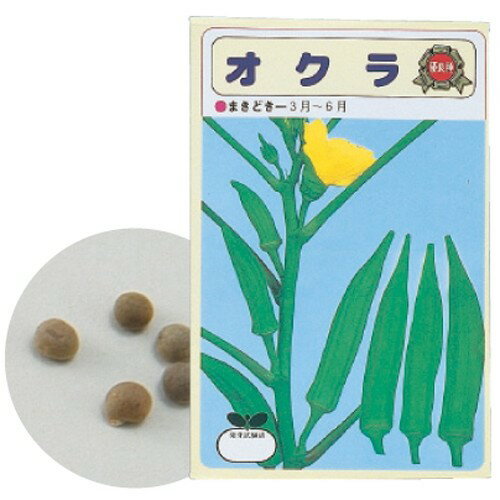 アーテック 野菜の種　オクラ 4521718027395
