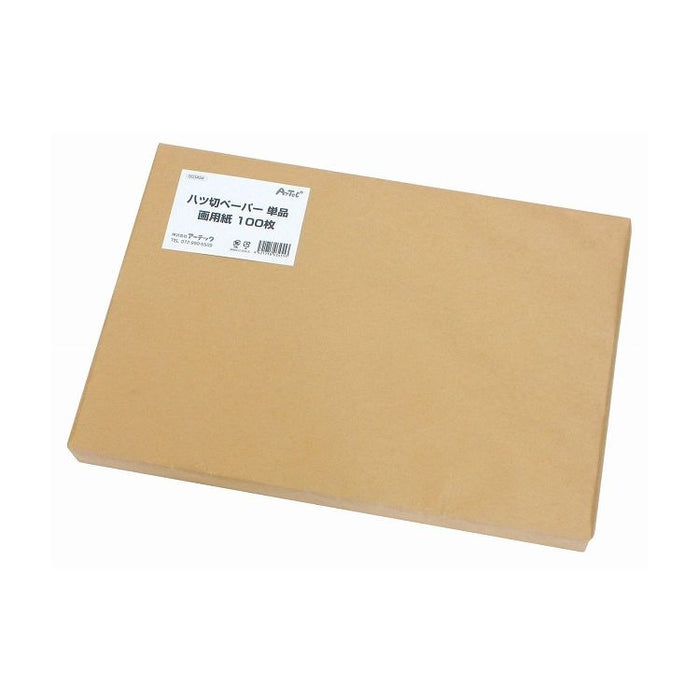アーテック 八切ペーパー単品画用紙　４穴　１００枚 4521718034546