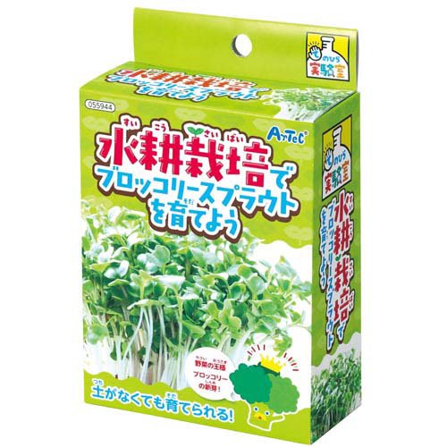 アーテック 水耕栽培でブロッコリースプラウトを育てよう 4521718559445