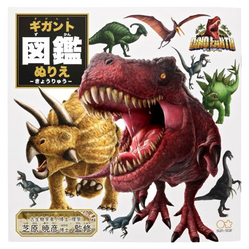 セイカ ギガントズカンヌリエディノ CN-4199001-B 4901771313831（10セット）