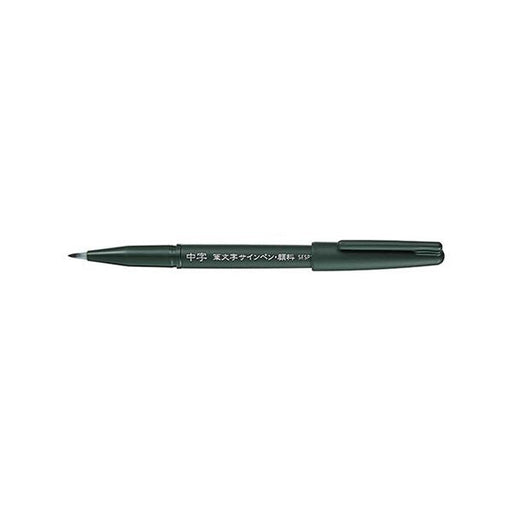 XSESP15MA Pentel Brush Zeichenfilzstift mittlere Schriftart Pentel 4902506365613 (10 Sets)