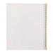 Light Fort Album A L-JHO2-91-W สีขาว Nakabayashi 4902205241737