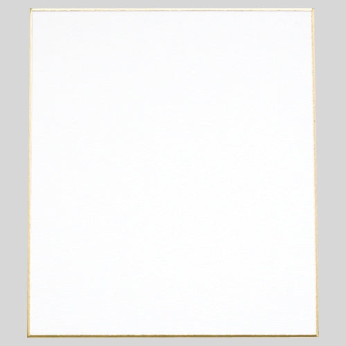Nagatoya Farbpapier C-551 Maler 4961411035516