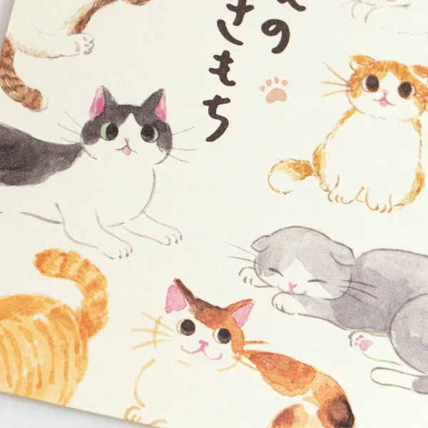エヌビー ぽち袋　ねころび　ねこあるある 5579007 4909510561543（10セット）