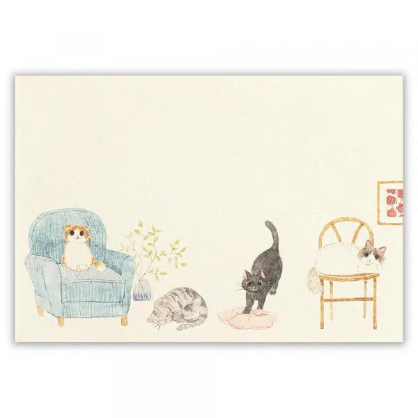 エヌビー 封筒　ねころび　ねこあるある 5576907 4905260795979（5セット）