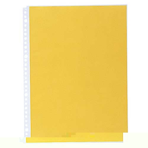 LIHITLAB castanha sim bolso N-2102 A4S 30 furos dez peças amarelo 4903419349172