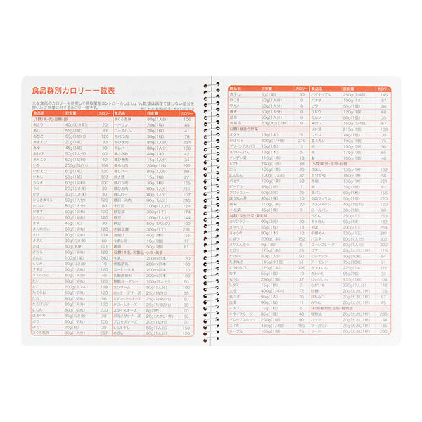 Midori 3 Month Diet Diary 26154│Notebook/Diary Diary 4902805261548