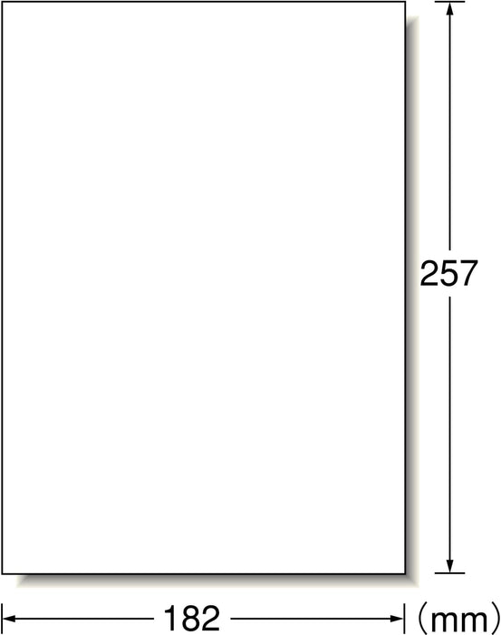 エーワン ラベルシール B5判 ノーカット 26枚 28408（10セット）