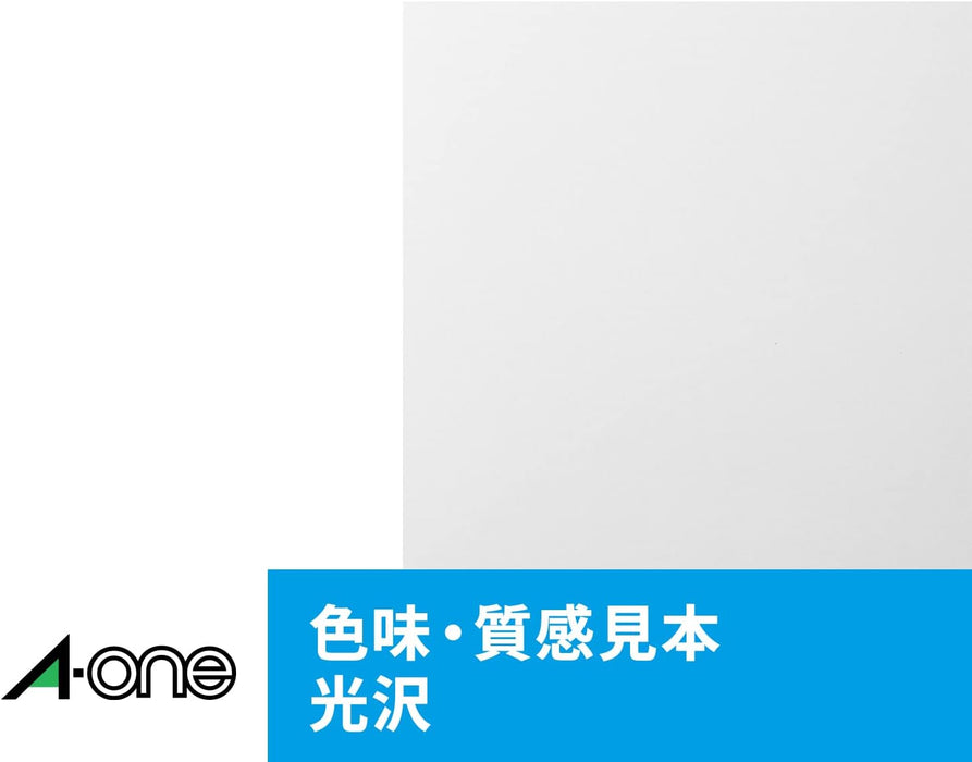 エーワン 写真シール フォト光沢紙 9面 12枚 29602（10セット）