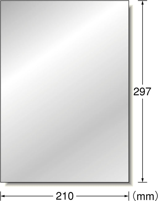 A-one 31035 [Etichetta per stampante laser utilizzabile all'aperto tipo pellicola opaca argento A4 non tagliata 10 fogli] 4906186310352 (10 set)