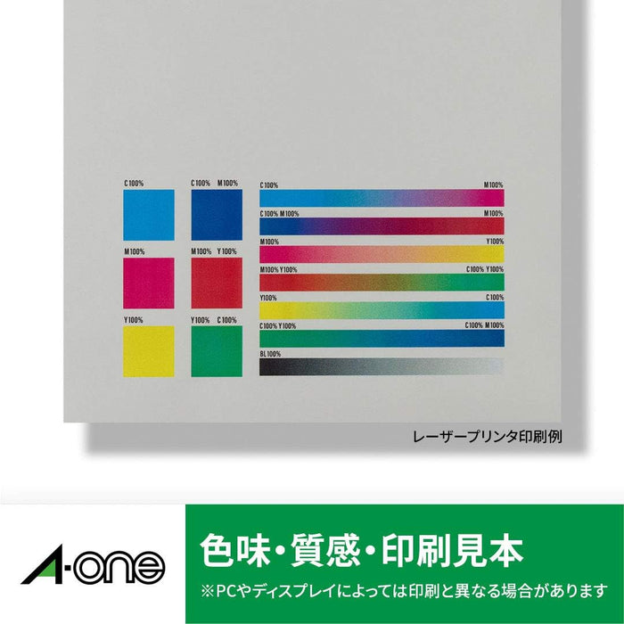 エーワン 屋外でも使えるラベル シルバーツヤ消し 24面 5枚 31058（10セット）