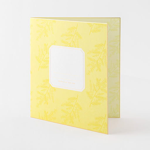 Autocollant à deux volets en papier coloré Midori Color 33283006 4902805332835 (2 jeux)