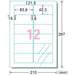 A-One Laser Label 31581 Transparent Typ A4 12 Seiten 10 Blatt 4906186315814