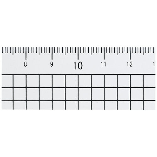 スマートバリュー 再生PET直定規15cm B331J 4547345031222