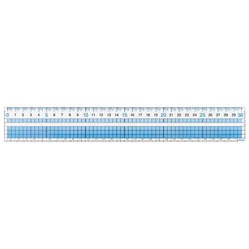 レイメイ藤井 見やすい方眼定規 30cm AJH308 4902562339726