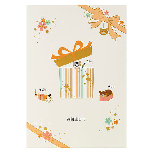 Sanrio Chimanyan NY7-0R 281735 4550624281737 (5 sets)