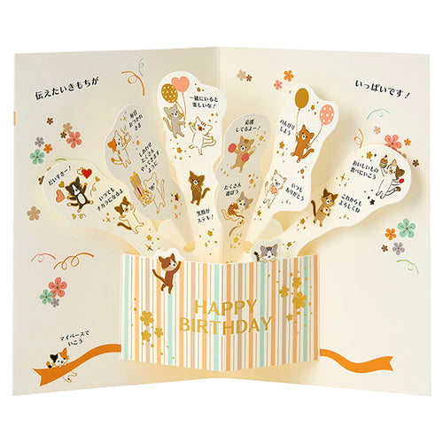 Sanrio Chimanyan NY7-0R 281735 4550624281737 (5 sets)