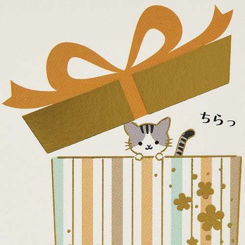 Sanrio Chimanyan NY7-0R 281735 4550624281737 (5 sets)