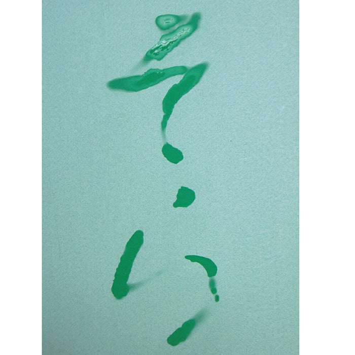 呉竹 水書き書道 水でお習字 半紙 K37-10（10セット）
