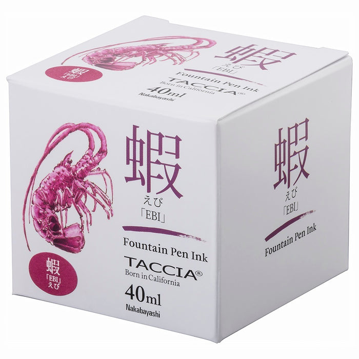 Sunaoiro jeans ink water-based dye 40ml1-black TACCHIA TFPI-WD401-17 Nakabayashi