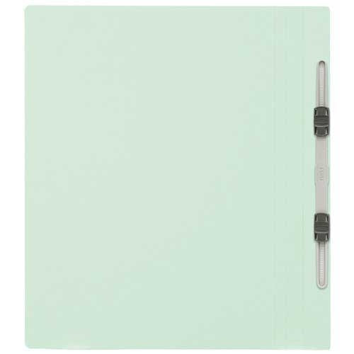 300 positive flat file No. 021N A4S blue