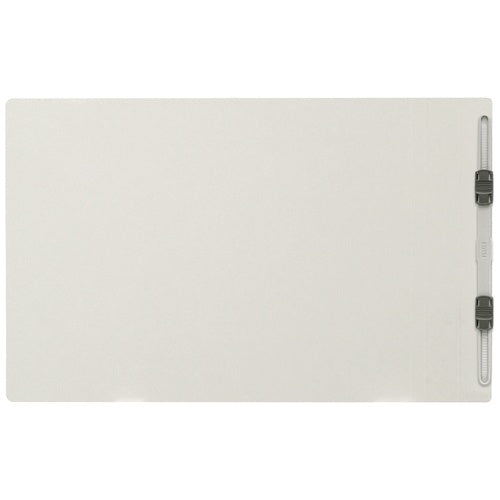 Ten positive flat file 022NW A4E ash