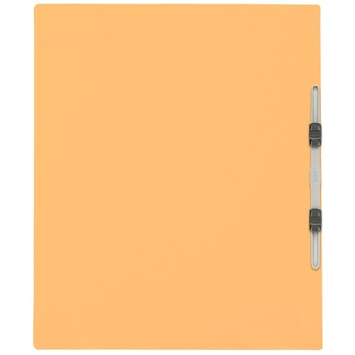 Ten positive flat file 011N B4S yellow