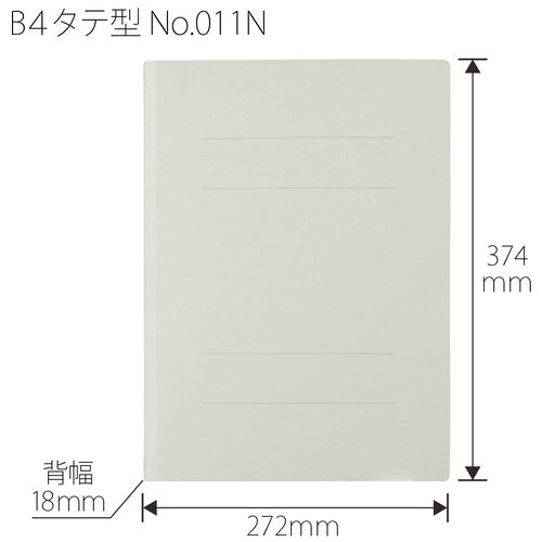 Ten positive flat file 011N B4S ash