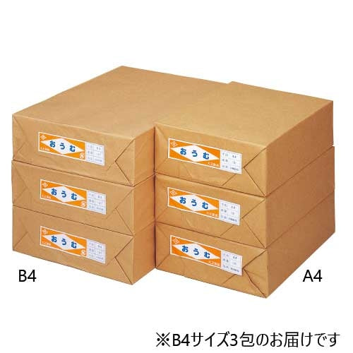 大王製紙 更紙 おうむＳ B4 1000枚×3包 4902011346183
