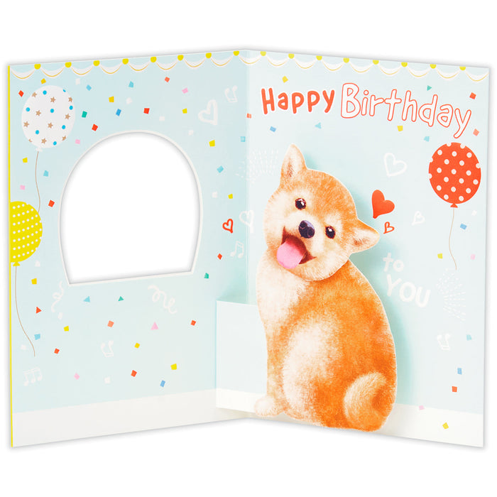 日本ホールマーク ハッピーメイト 柴犬【誕生お祝い／立体カード】 840242 4961099840242（6セット）