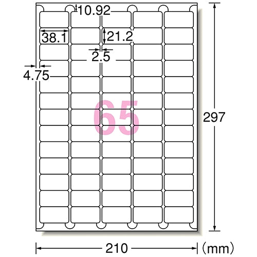 エーワン 屋外ラベル 65面5入 31073 4906186310734