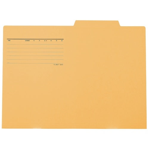 Dix pièces de dossier individuel positif FL-068IF B4E jaune
