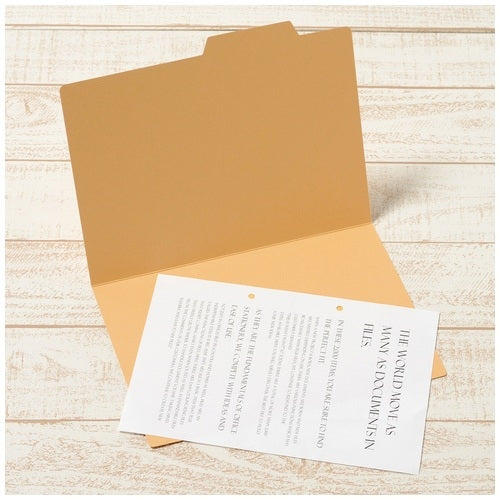 Sepuluh keping folder individu positif FL-067IF B5E kuning