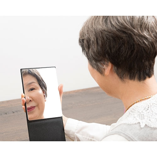 堀内鏡工業 いきいきミラー折立MIK-01 4510510773760