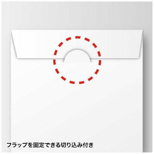 サンワサプライ CD／DVDペーパーケースホワイト100枚 4969887312841