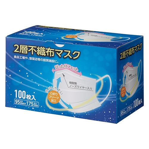 クラフトマン 2層不織布マスク 100枚 4560314966004