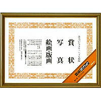 ｶ-2 額縁ポリウッドＡ３　 ｶ-2 コクヨ 4901480445779（10セット）