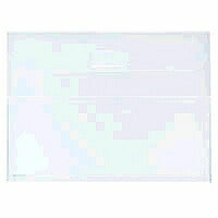 KOKUYO/Supporto trasparente da trasporto A4 4901480066363 (10 set)
