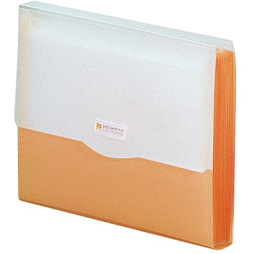 リヒトラブ ドキュメントファイル G5610-4 オレンジ A4（10セット）