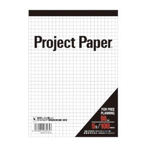 Okina Project 5S 100 Blatt B6-Format, vertikaler Typ (10 Sätze)