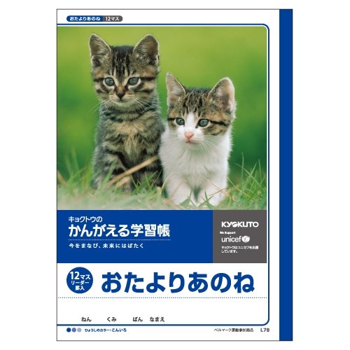 Mesej Buku Kajian Berfikir Kyokuto (12 petak dengan pembaca) (10 set)