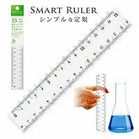 Righello intelligente in plastica Kyoei 15CM SMR-15 (10 set)