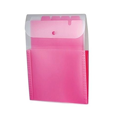 Sekisei Document Holder Vertical Rose ACT-3915-23 Sekisei 4974214173255 (10 sets)