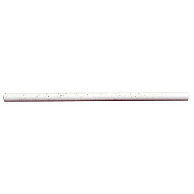トンボ鉛筆 マーキングジムホルダ-替芯 白 C-10DM01（10セット）