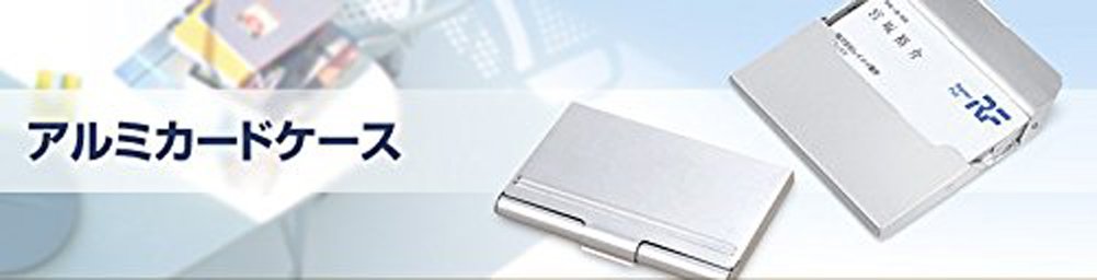 レイメイ アルミカードケース BRV703 4902562133072