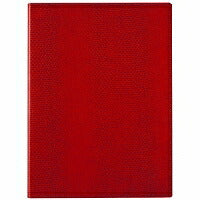 レイメイ ノートパッドB5 ZVP233R レイメイ藤井 4902562426464（10セット）