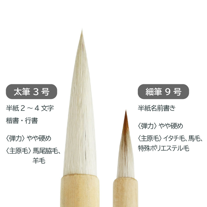 あかしや シマエナガ二本組 ALS-B160B 4963095236845（5セット）