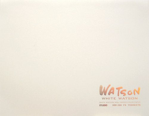 ミューズ Wワトソンブロック HW-306 ミューズ 4943718203812（10セット）