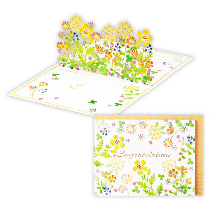 日本ホールマーク ＧＣＯＮＧ立体ＢＬＯＯＭＩＮＧ 817633 4961099817633（6セット）